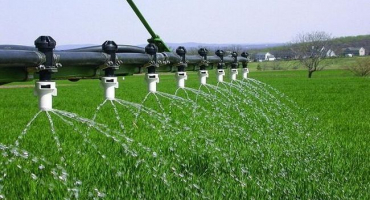 Jak na listovou pšenici a míry hnojení